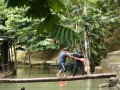 Tn dsc 4950
